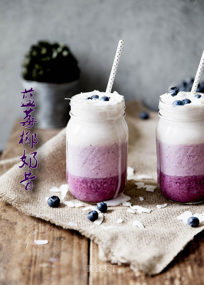 Blueberry Coconut Milkshake
