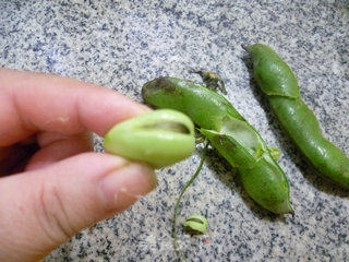 Roasted Broad Beans with Small Vegetarian Chicken recipe