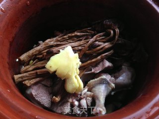 【stewed Pigeon with Tea Tree Mushroom】 recipe