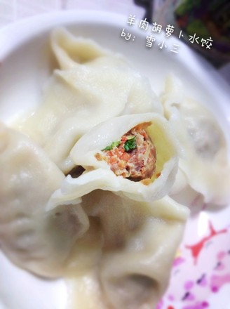 New Year's Eve Dinner in Southwestern Shandong: Lamb and Carrot Dumplings recipe