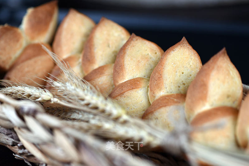 Olympic Olive Branch Bread-depp Baking Lab recipe
