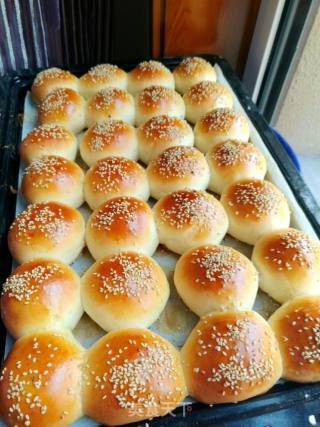 Honey Meal Buns recipe