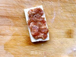 Pan-fried Tofu Box recipe