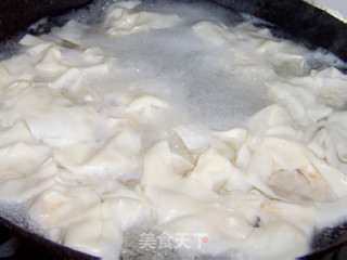 A Bowl of Soup Blended with A Variety of Seasonings---delicious Fresh Meat Wontons recipe