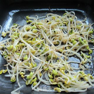 Soy Bean Sprouts recipe