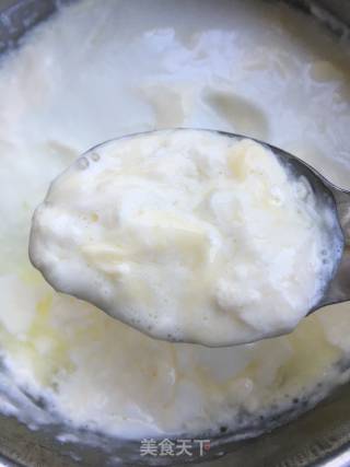 Homemade Honey Yogurt recipe