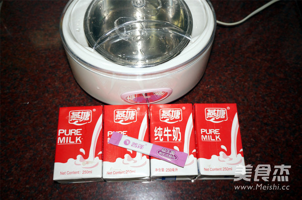 Probiotic Yogurt recipe