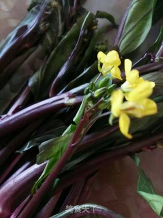 Stir-fried Vegetable Moss with Bacon recipe