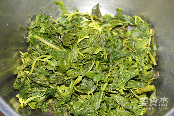 Eleutherococcus Senticosus Leaves recipe