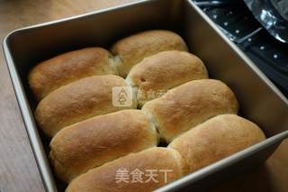 Honey Bean Sandwich Small Row Buns recipe