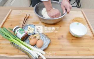 Shepherd's Purse Dumplings with Mushroom Sauce recipe
