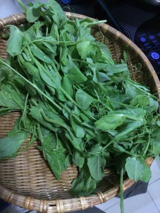 Spring Wild Vegetables-garlic Tempeh and Pea Tips recipe