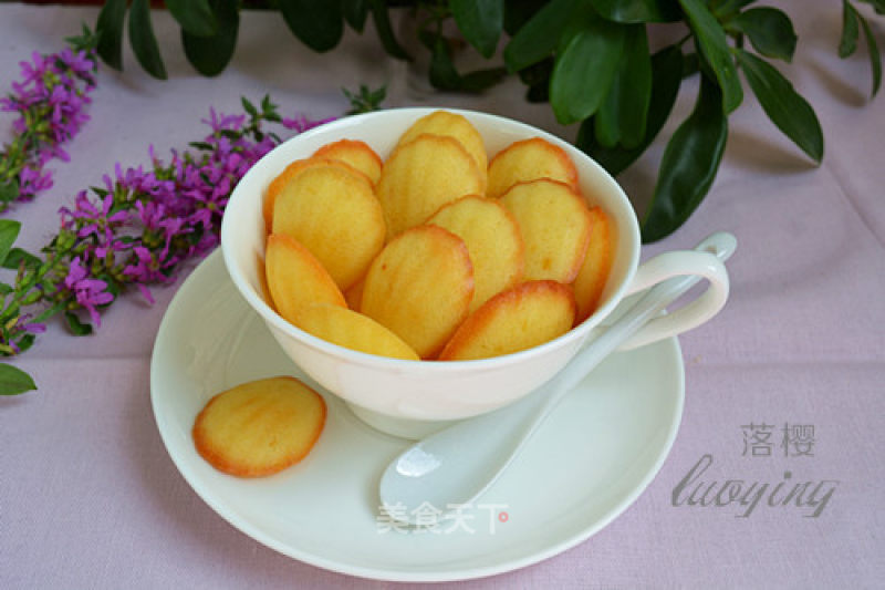 Lemon Scented Madeleine recipe