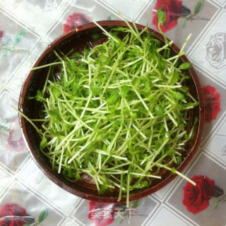 Stir-fried Bacon with Bean Sprouts recipe