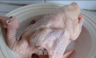 Beiyue Rock Pigeon recipe