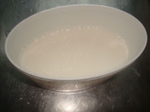 Homemade Old Yogurt recipe