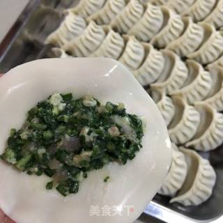 Dumplings (pork Dumplings and Leek Dumplings) recipe