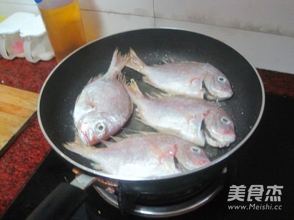 Pan-fried Sea Fish recipe