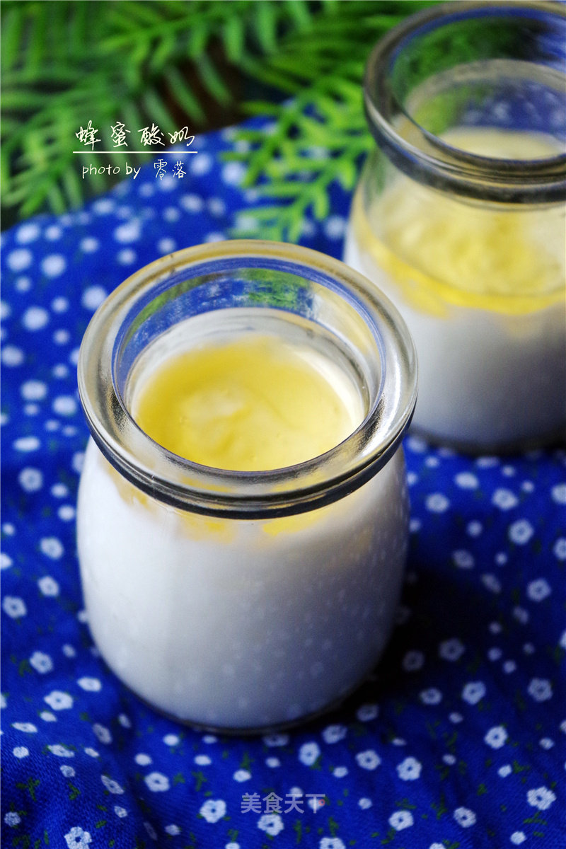 [100% Successful Yogurt Recipe] Homemade Honey Yogurt recipe