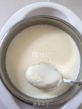 Yogurt Made from Raw Milk recipe