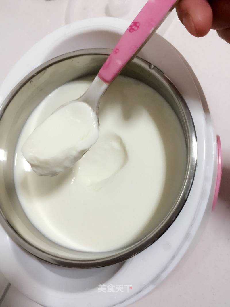 Homemade Delicious Yogurt recipe