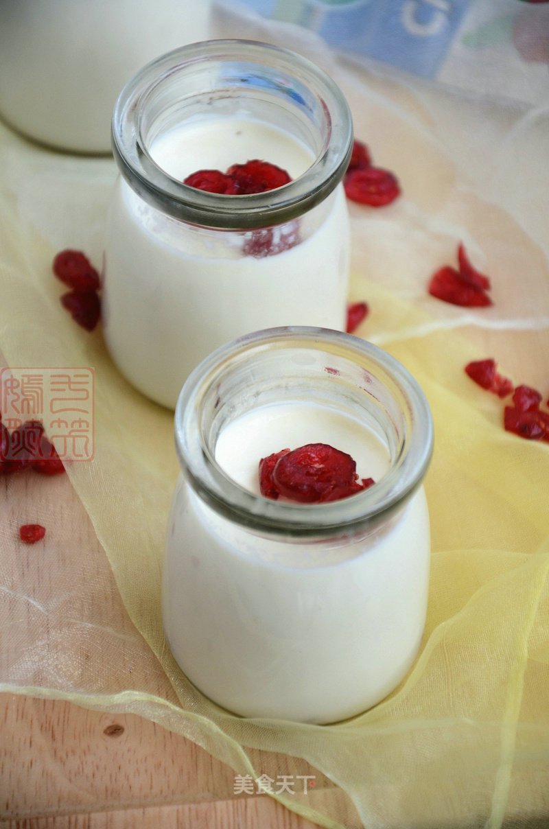 Cranberry Milk Pudding recipe