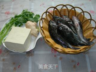 Black Fish Tofu Soup recipe