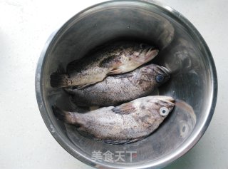 [yantai] Creamy White Yellow Catfish Soup recipe