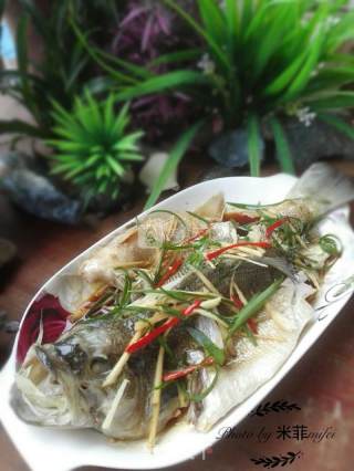 Steamed Sea Bass recipe