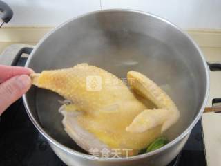 Shanghai White Chicken recipe