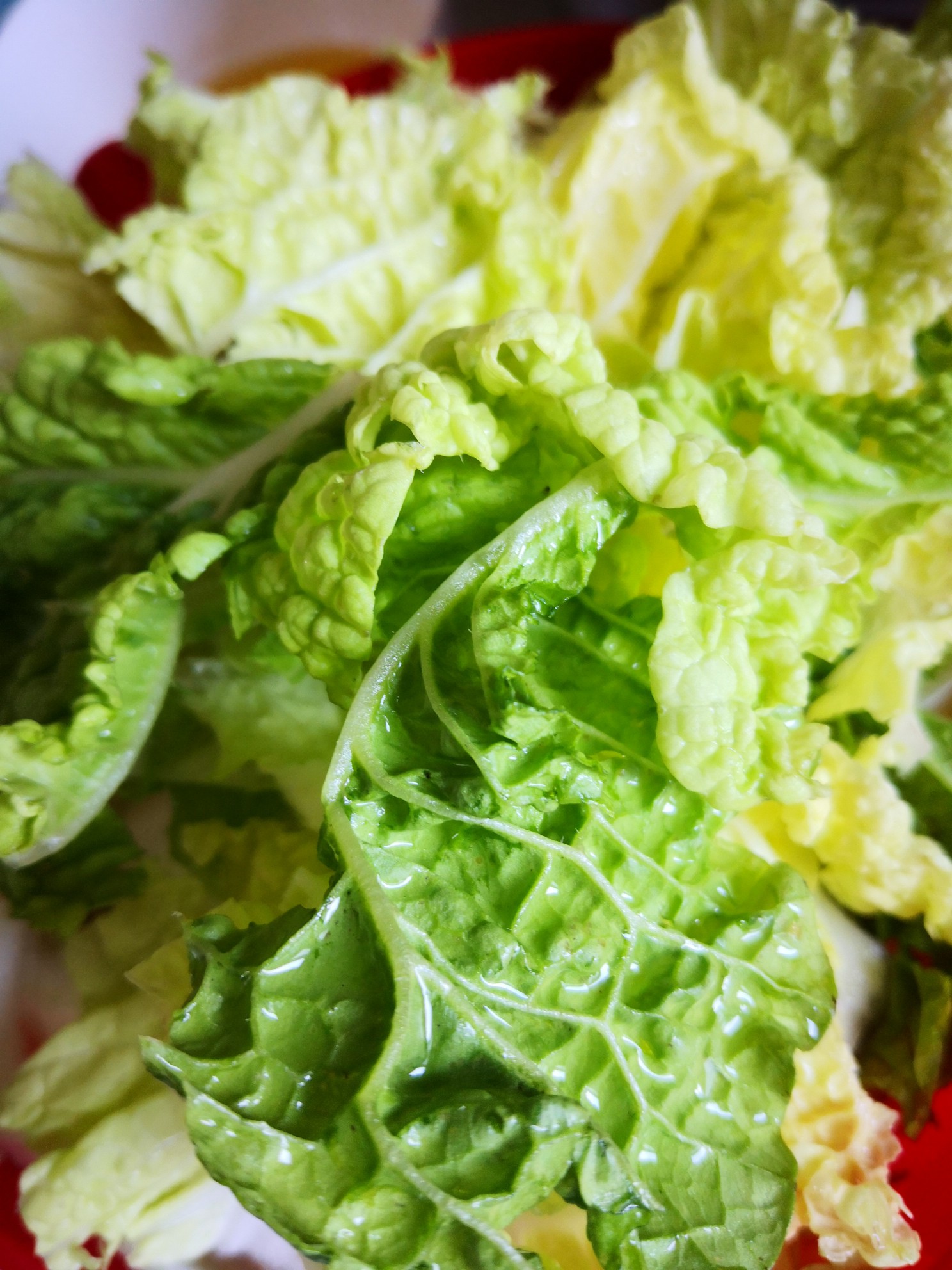 Cabbage Stewed Bean Curd recipe