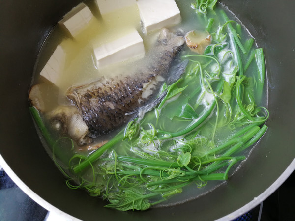 Chayote Miao Crucian Fish Soup recipe