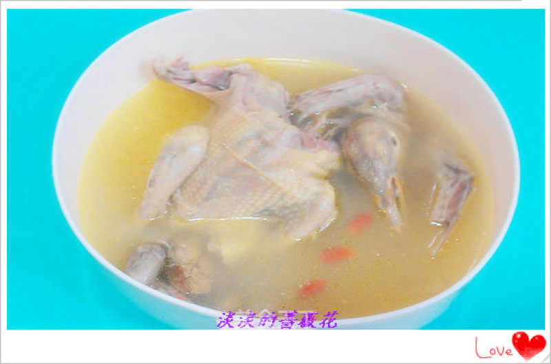 Diy---stewed Pigeon Soup