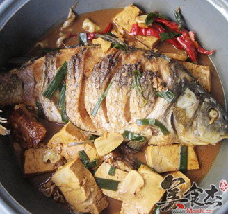 Braised Carp recipe