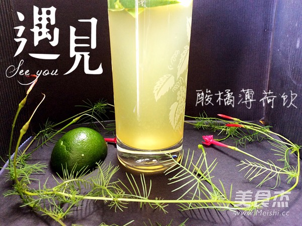 Lime Mint Drink recipe