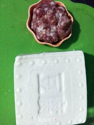 Braised Pork with Tofu recipe