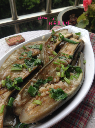 Steamed Eggplant with Garlic