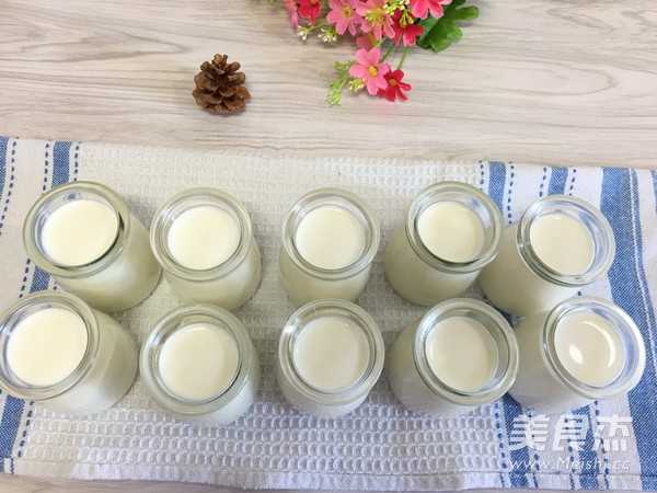 Homemade Sugar-free Yogurt recipe