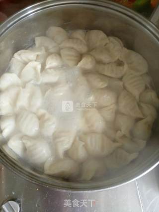 Carrot and Lamb Dumplings recipe