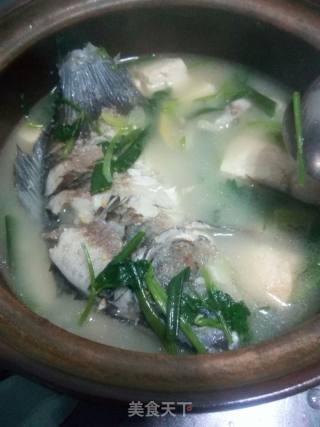 Crucian Tofu Soup recipe