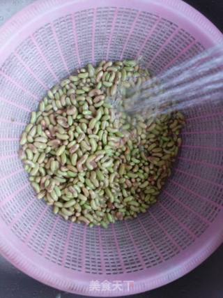 Fried Beans and Rice recipe