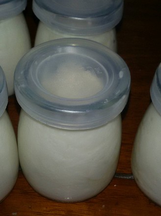 Homemade Yogurt