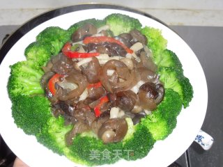 Braised Sea Cucumber with Mushrooms recipe