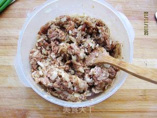 Teriyaki Pork Fort recipe