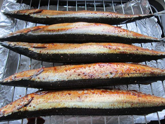 Grilled Saury with Cumin recipe