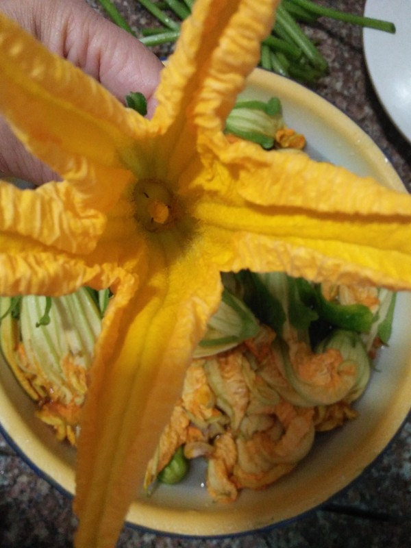 Crispy Fried Pumpkin Flower recipe