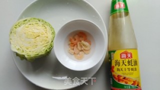 Stir-fried Shrimp with Cabbage in Oyster Sauce recipe