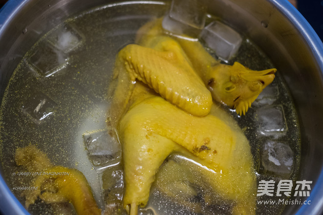 Shredded Chicken with Jellyfish and Red Onion Head recipe