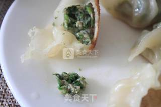 Shepherd's Purse Pan-fried Dumplings-lock The Deliciousness and Share It with You recipe