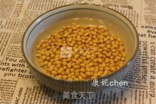 Soy Milk Yogurt recipe